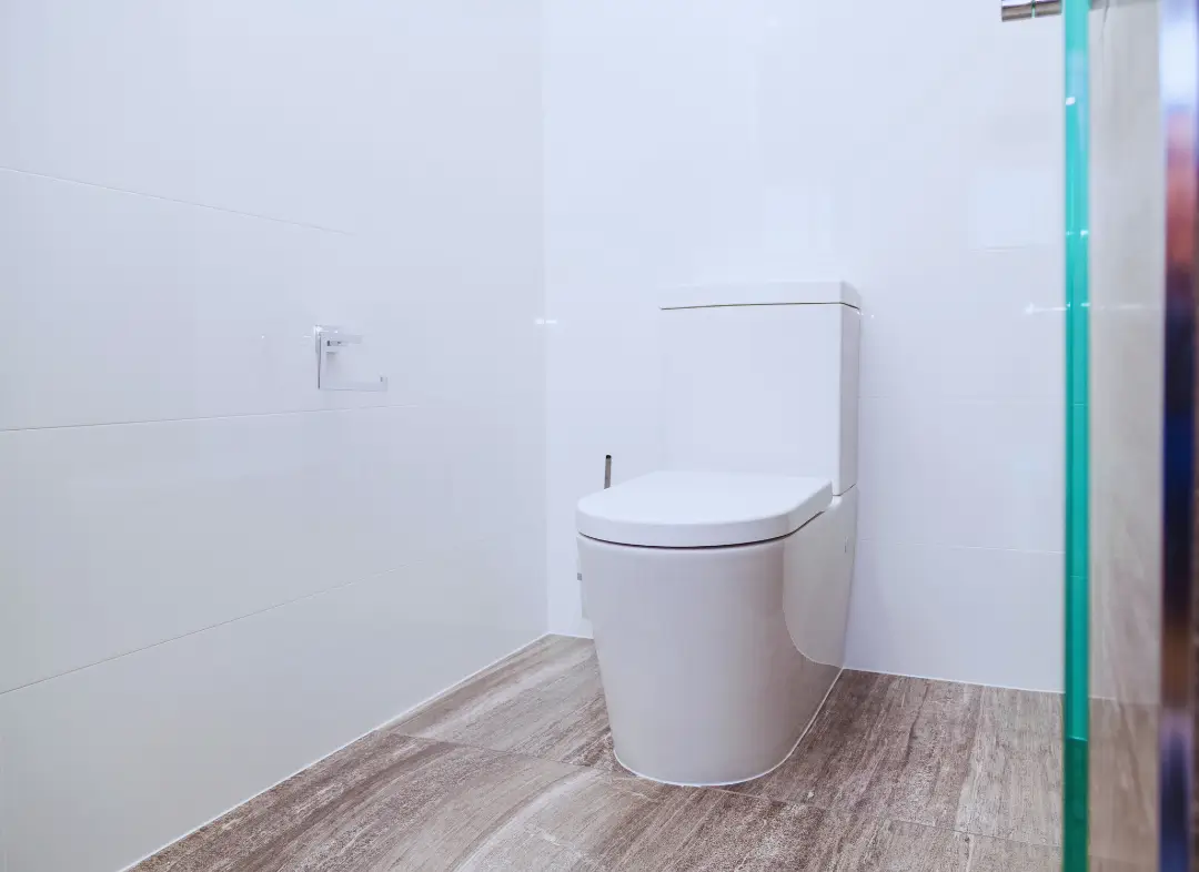 Remplacement de wc Aramon